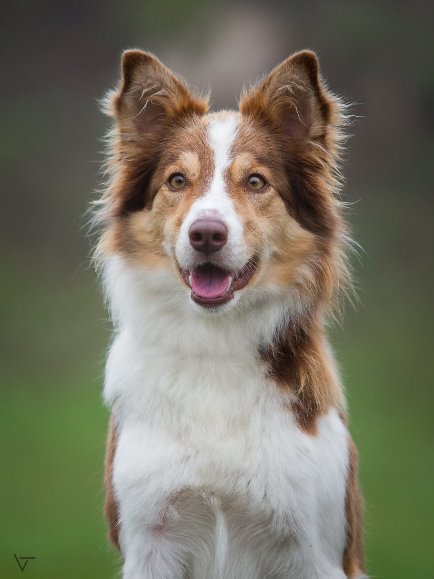 Foto: Veronika Tvrdá 