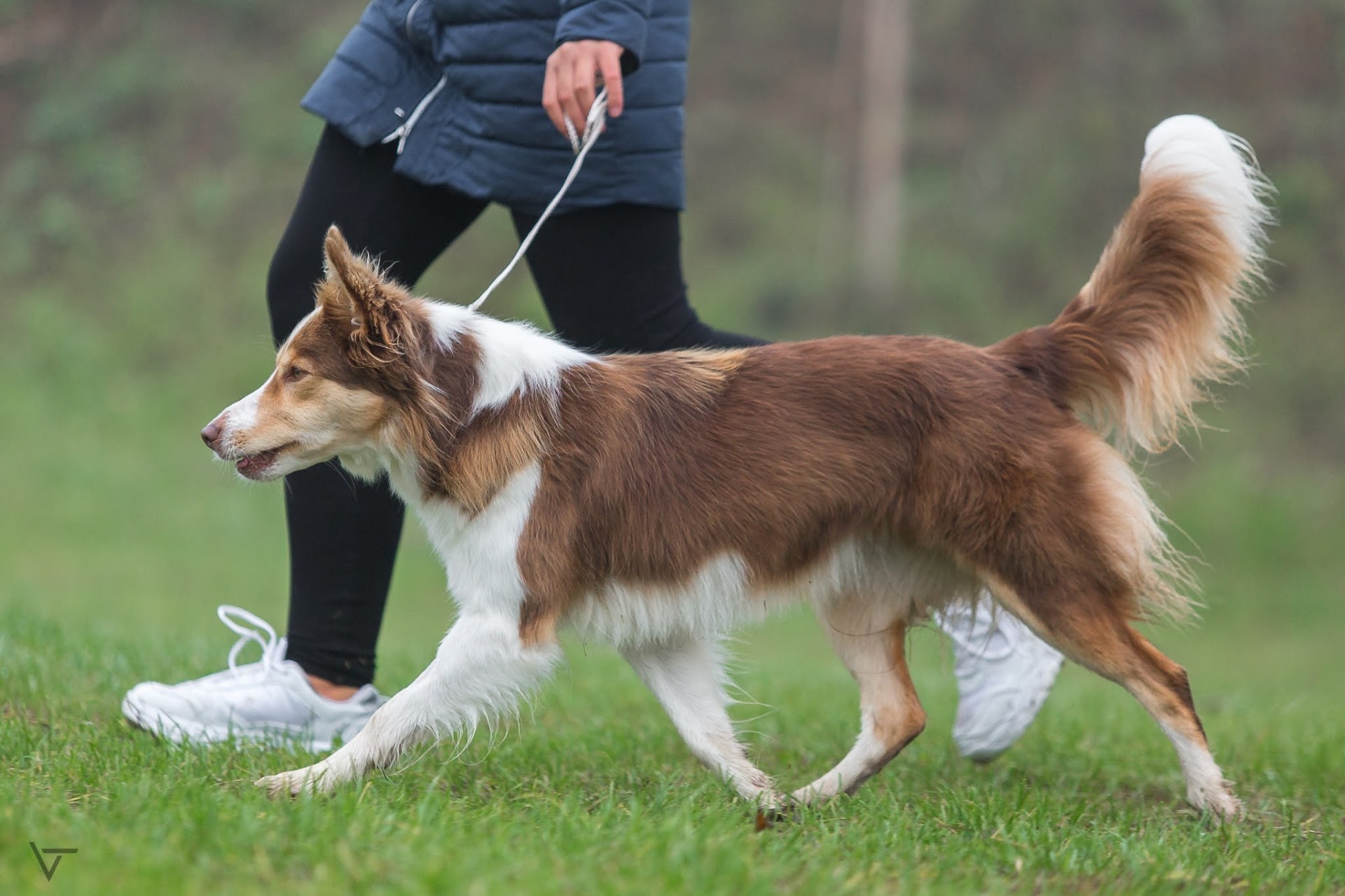 Foto: Veronika Tvrdá 